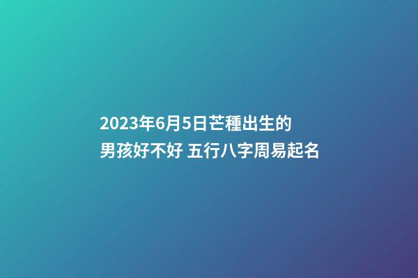 2023年6月5日芒種出生的男孩好不好 五行八字周易起名